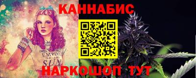 шишки Будённовск