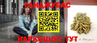 шишки Будённовск