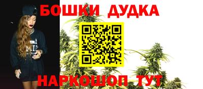 шишки Будённовск