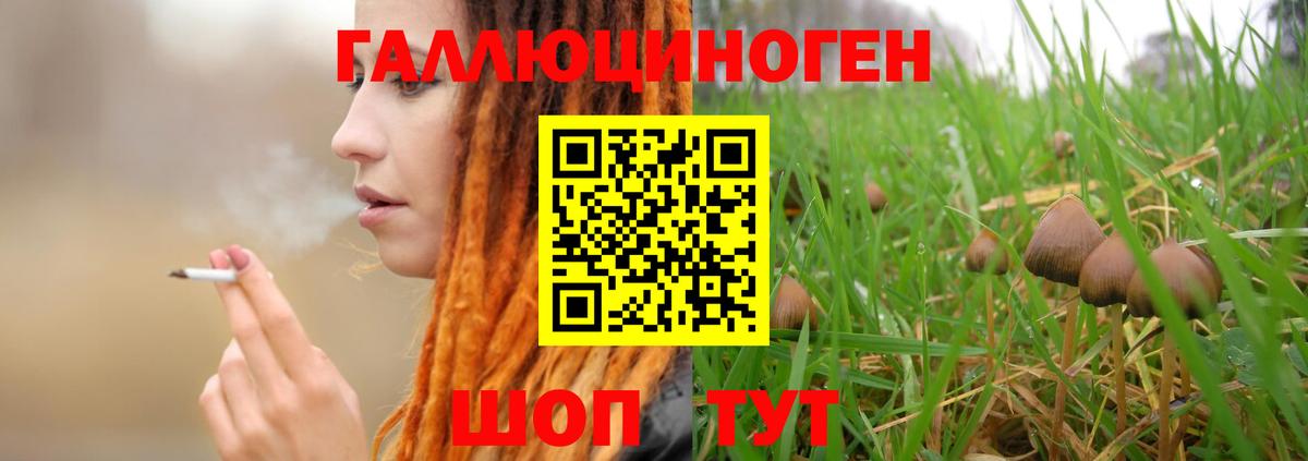 Псков  Псилоцибиновые грибы GOLDEN TEACHER  Вход с VPN 
