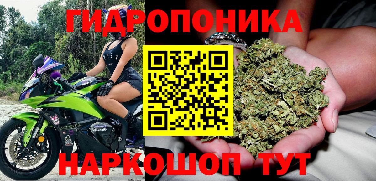 Бошки Шишки OG Kush  Вход с VPN  Бошки марихуана Bruce Banner  Псков 
